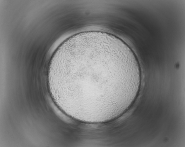 X0000115211438200911251457