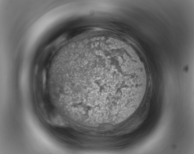 X0000115211439200911251457