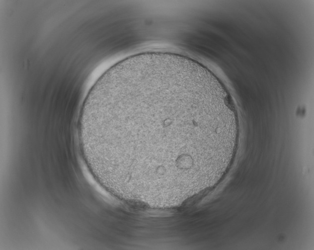 X0000115211440200911251457