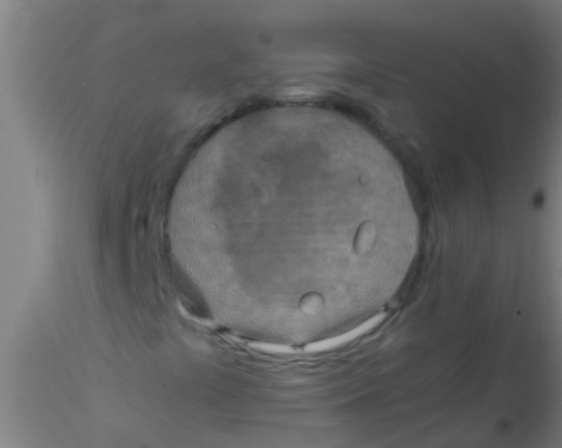 X0000115211441200911251456