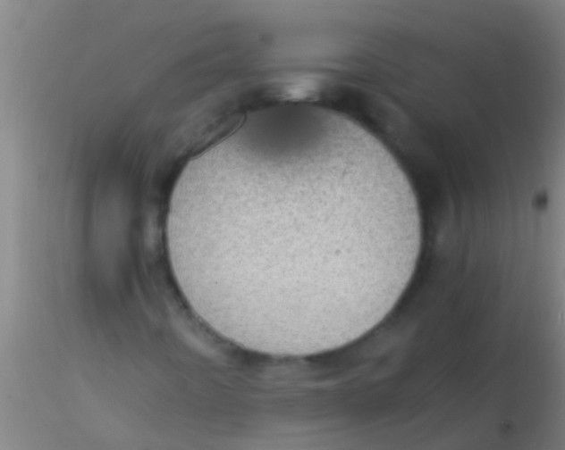 X0000115211442200911251456