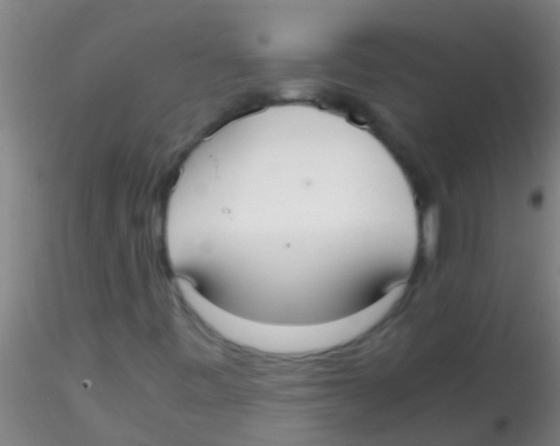 X0000115211443200911251456