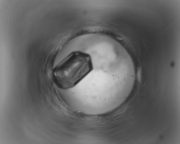 X0000115211444200911251456