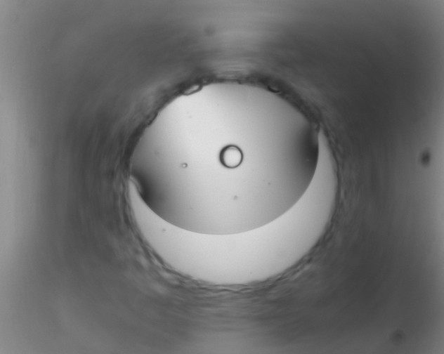 X0000115211445200911251456