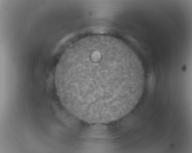 X0000115211446200911251456