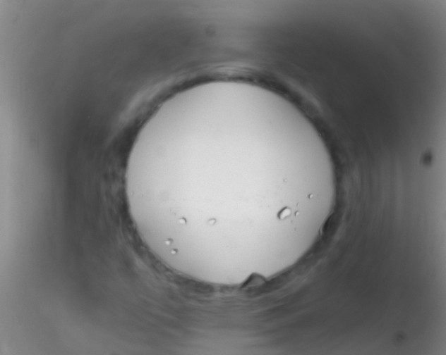 X0000115211447200911251456