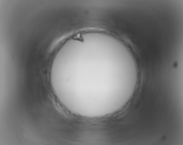 X0000115211448200911251456