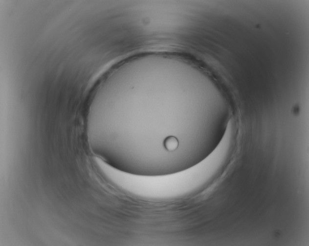 X0000115211449200911251456