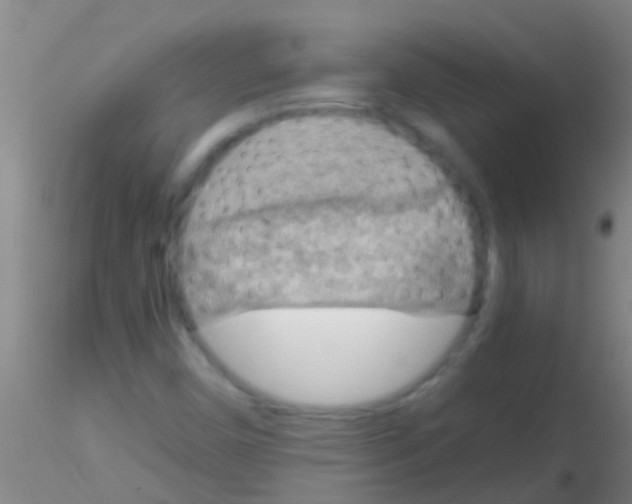 X0000115211450200911251456