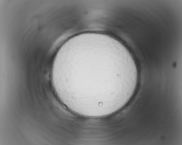 X0000115211451200911251456