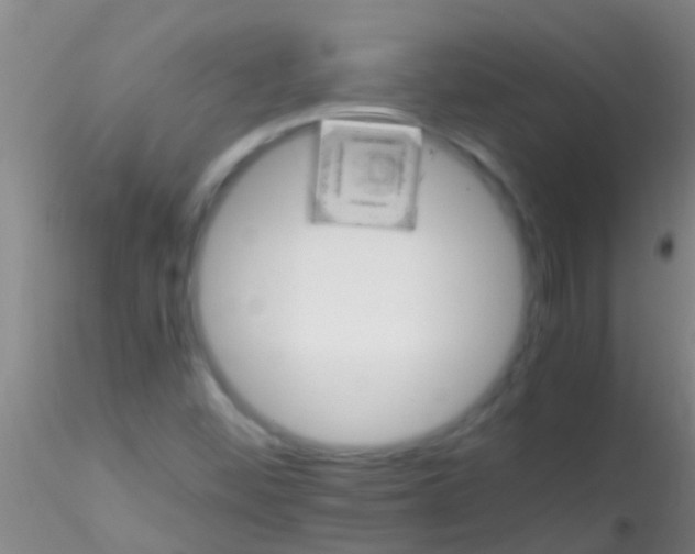 X0000115211452200911251456