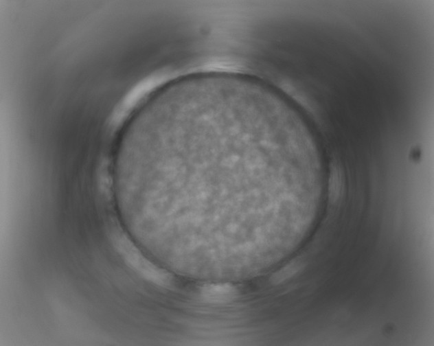 X0000115211454200911251456