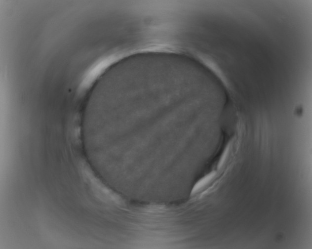 X0000115211455200911251456