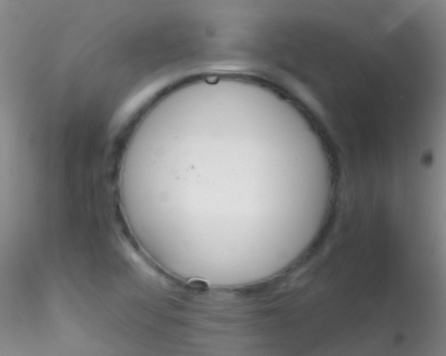 X0000115211456200911251456