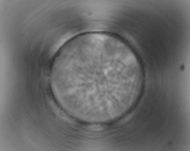 X0000115211457200911251456