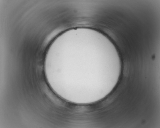 X0000115211458200911251456