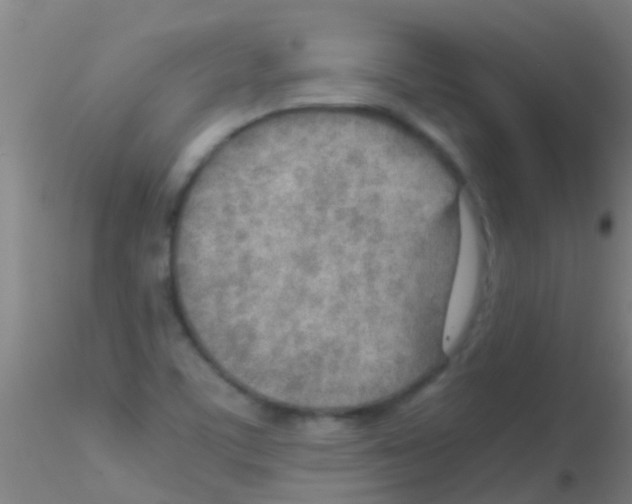 X0000115211459200911251456