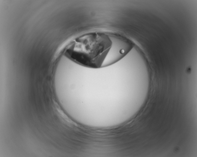 X0000115211460200911251455