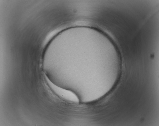 X0000115211461200911251455