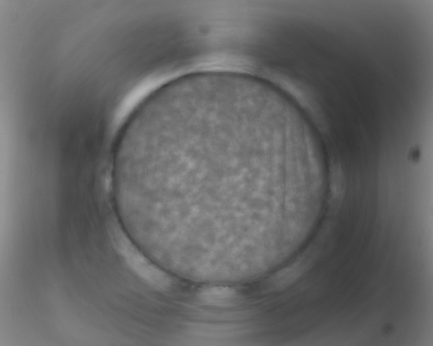 X0000115211462200911251455