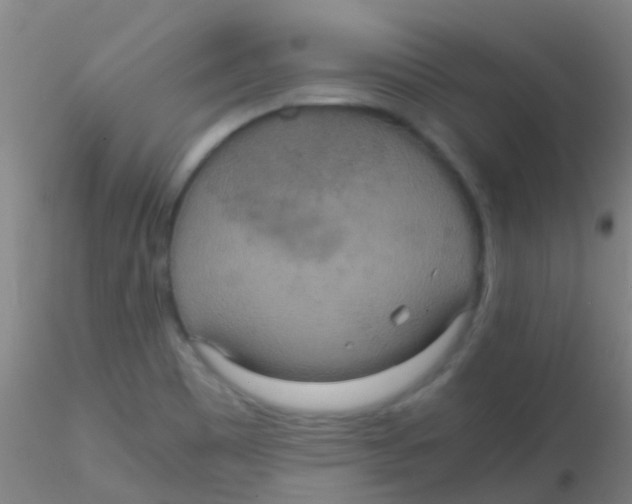 X0000115211465200911251455