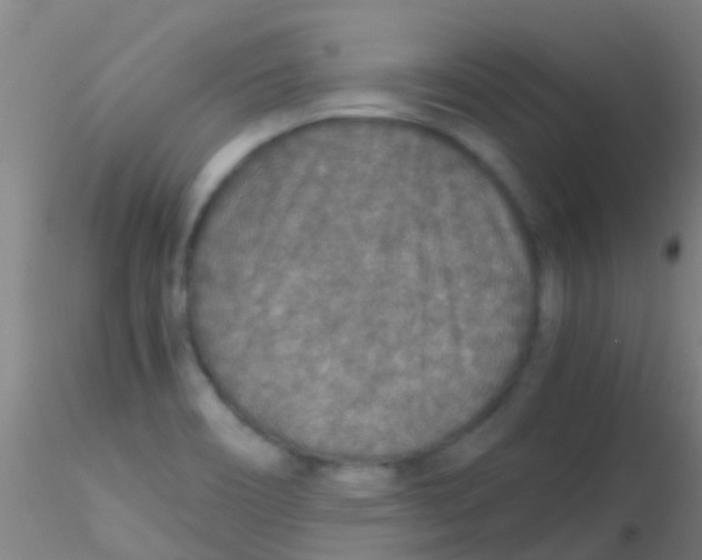 X0000115211466200911251455