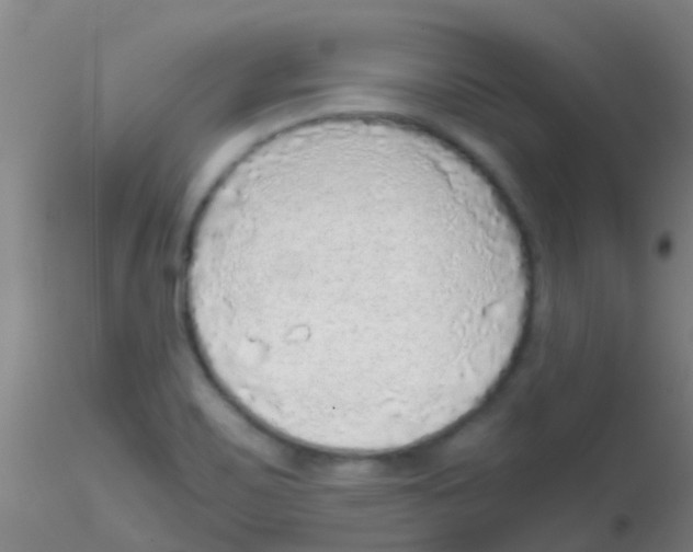 X0000115211467200911251455