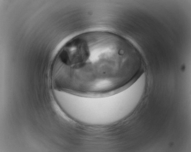 X0000115211468200911251455