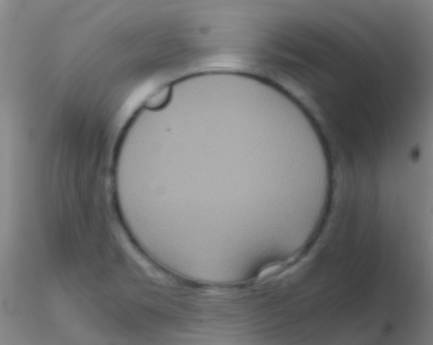 X0000115211469200911251455