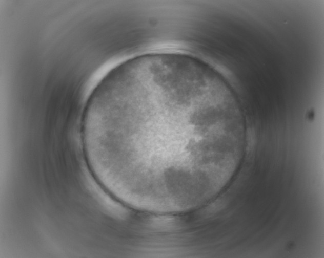 X0000115211470200911251455