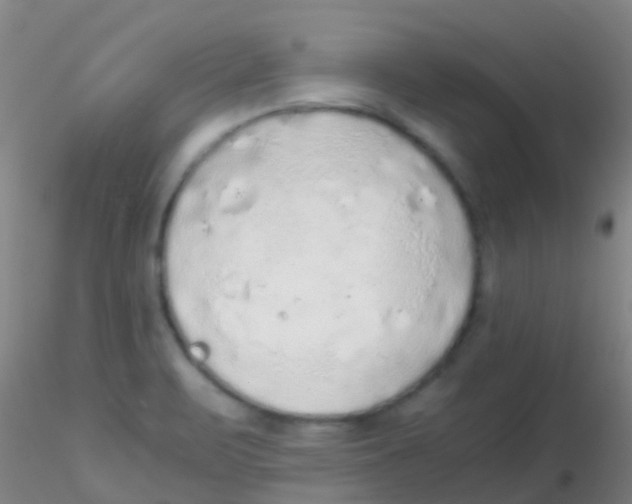 X0000115211471200911251455