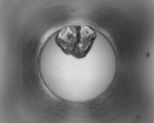 X0000115211472200911251455