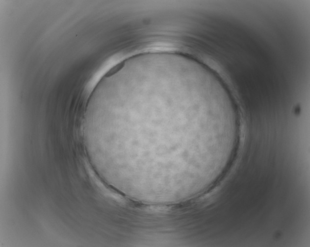 X0000115211473200911251455