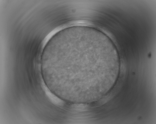 X0000115211474200911251455