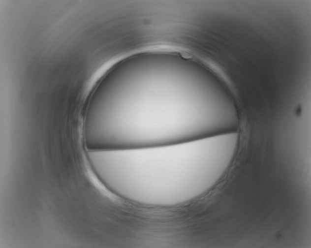 X0000115211476200911251455