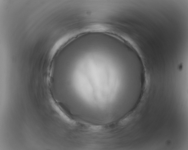 X0000115211477200911251455