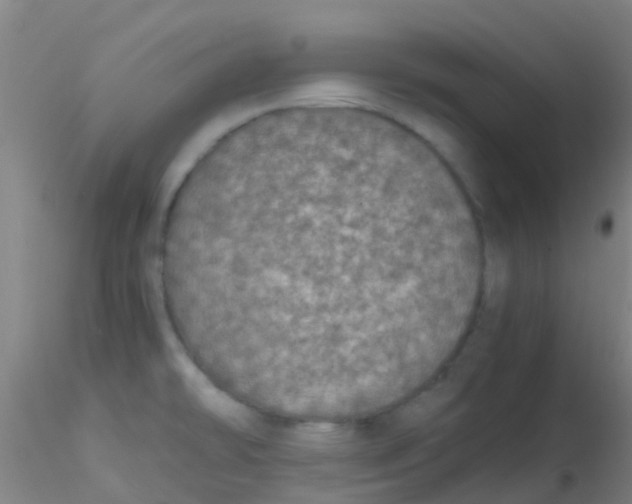 X0000115211478200911251455