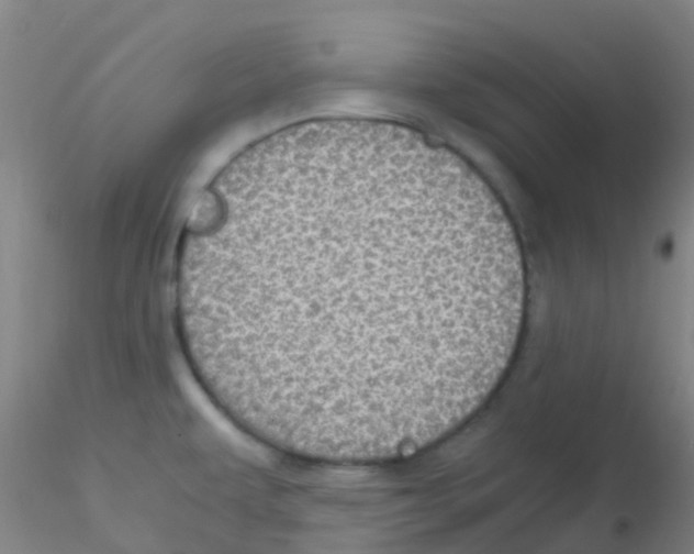 X0000115211479200911251455