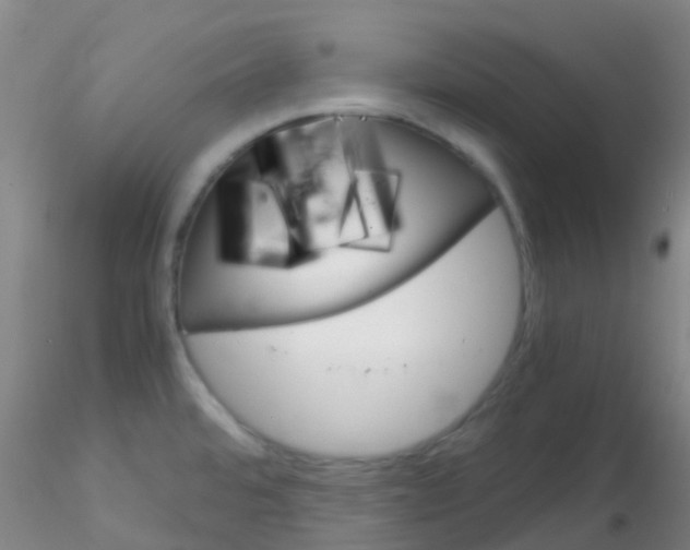 X0000115211480200911251455