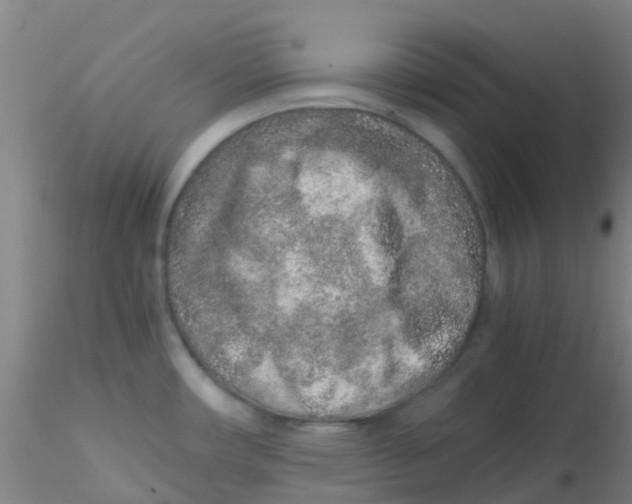 X0000115211482200911251455