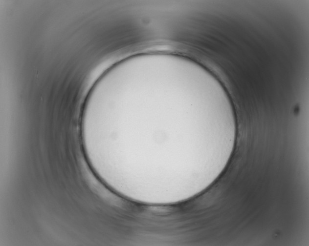 X0000115211483200911251455