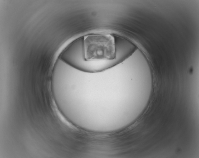 X0000115211484200911251455