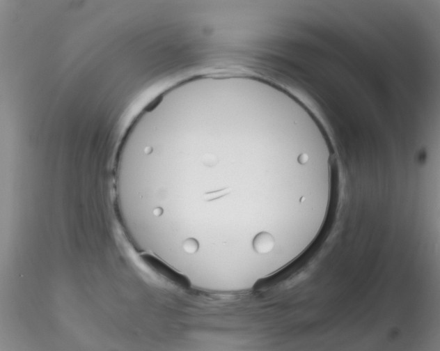 X0000115211485200911251455