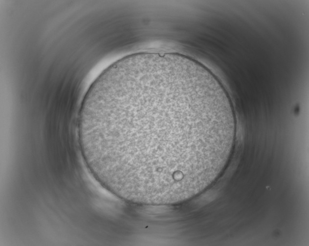 X0000115211486200911251455