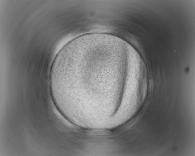 X0000115211487200911251455