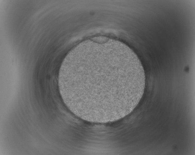 X0000115211489200911251454