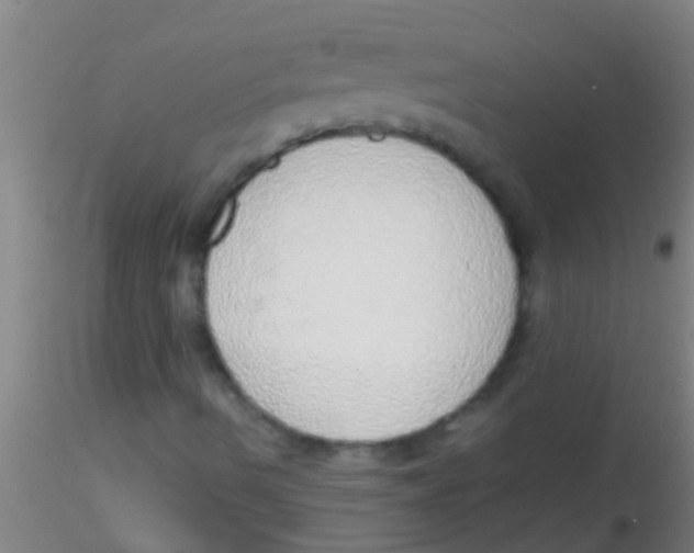 X0000115211490200911251454