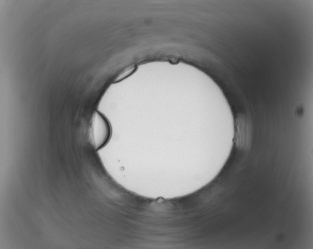 X0000115211491200911251454