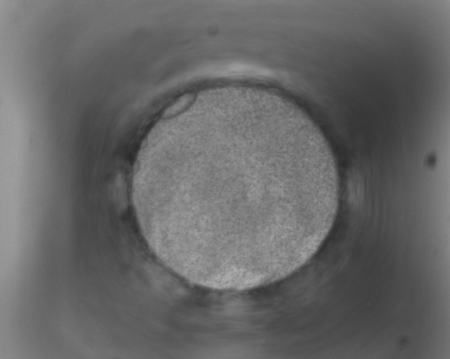 X0000115211493200911251454