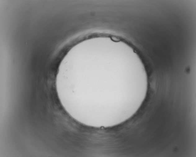 X0000115211495200911251454